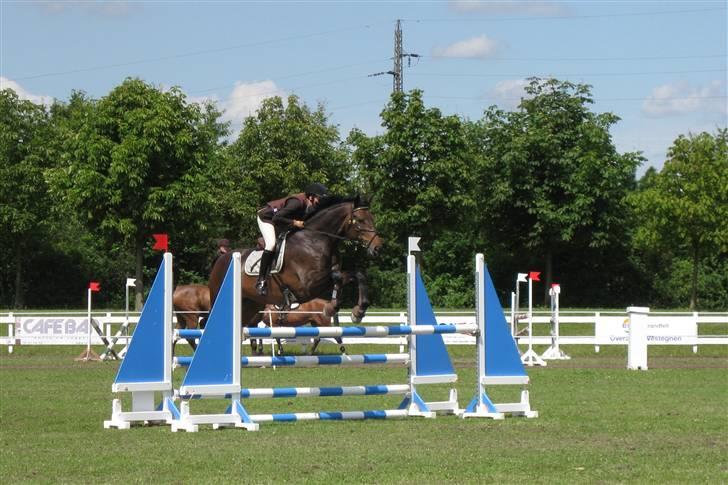 Holstener Calvin Ask billede 7