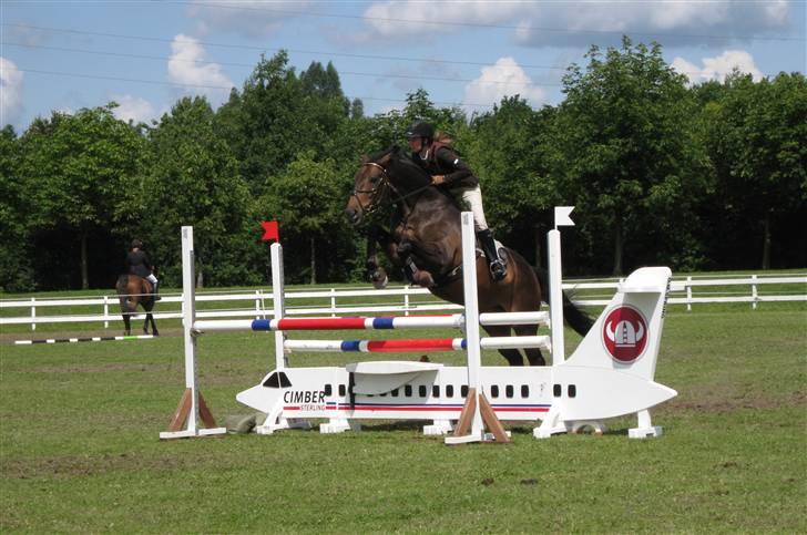 Holstener Calvin Ask billede 8