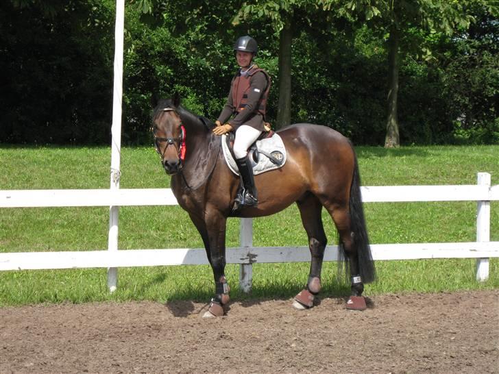 Holstener Calvin Ask billede 9