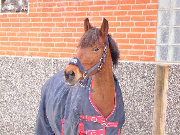 Anden særlig race Lotte R.I.P 19/10  - Velkommen til Lottes profil, Foto Mig billede 1