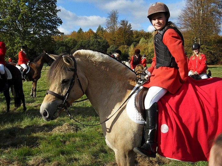 Fjordhest Kastanjegårdens Bolette  - velkommen til bolette´s profil.. Der er hun jo min ELSKEDE pony.<3foto:mig billede 1