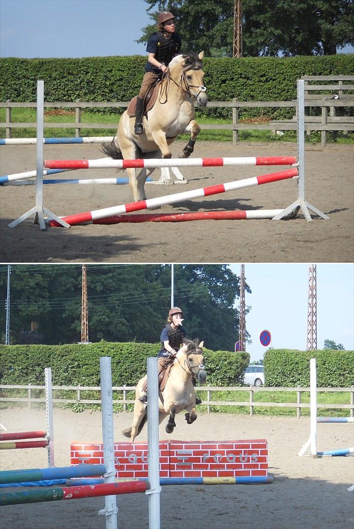 Fjordhest Kastanjegårdens Bolette  - Lille flyve pony, som trænger til sommerferie.  [Love you]. ;D  Foto: Mor billede 7