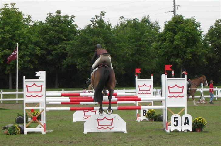 Holstener Calvin Ask billede 16