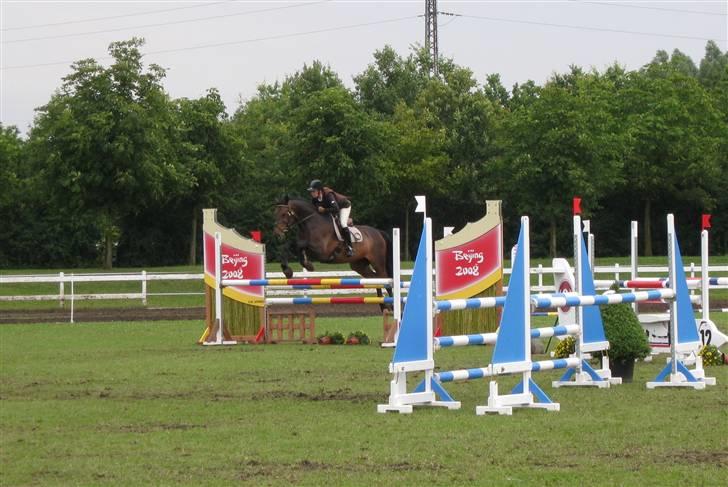 Holstener Calvin Ask billede 17