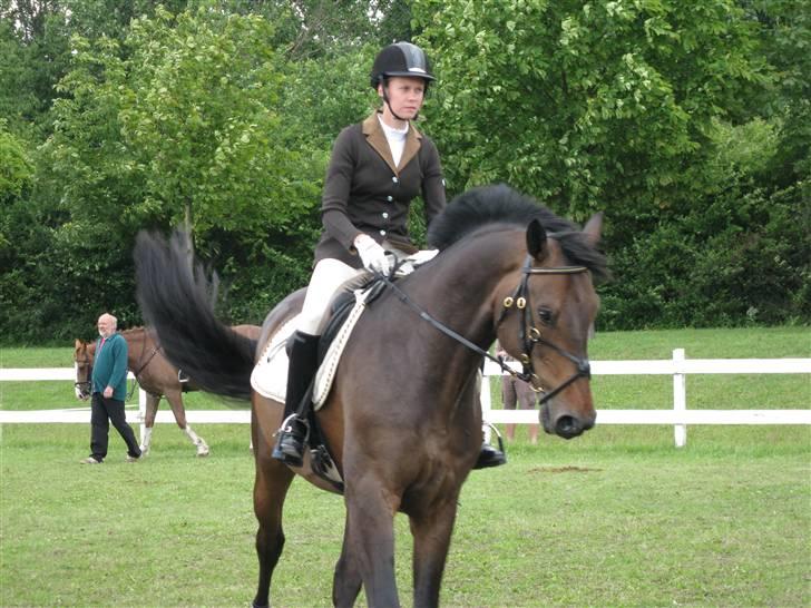 Holstener Calvin Ask billede 20