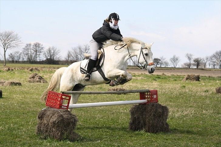 DSP  Stenvænge Sarka - Sarka og Maria - Springer 1,10. billede 14