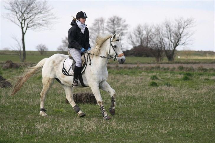 DSP  Stenvænge Sarka - Sarka og Maria - Galop.  billede 16