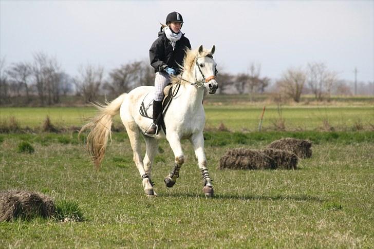 DSP  Stenvænge Sarka - Sarka og Maria billede 18