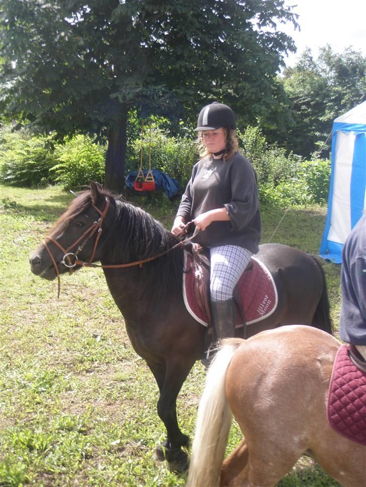 Anden særlig race Bob-Marley - Smukke Bobby, med Fanny på ryggen. Og lopis rumpe. ;) billede 19