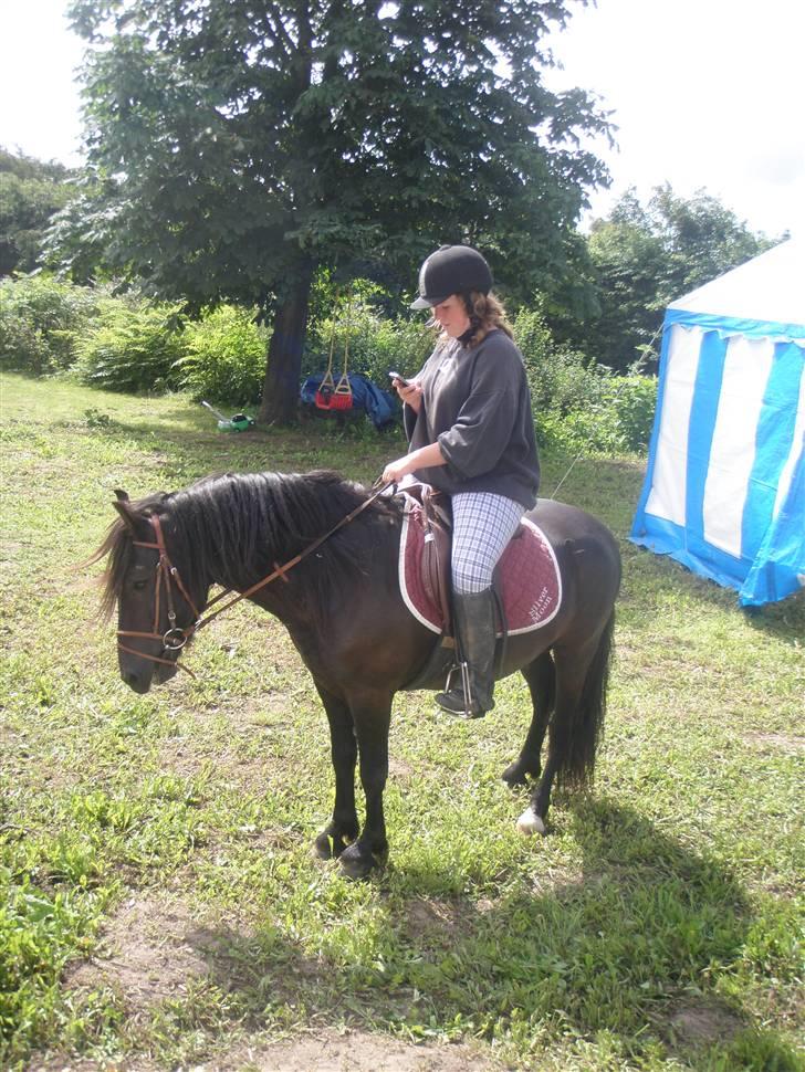 Anden særlig race Bob-Marley - Lækre Bobse! Med Fanny på ryggen. :) billede 20