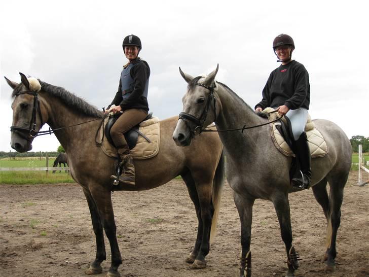 Anden særlig race <3 Domingo <3 - Mingo under tilridning sommer 2009 billede 18