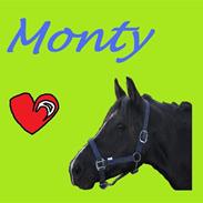 New Forest Monty