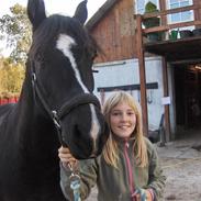 New Forest Monty