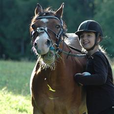 Anden særlig race Bastian - Part - R.I.P