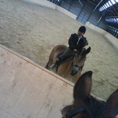 Belgier - Møffe (Basse)