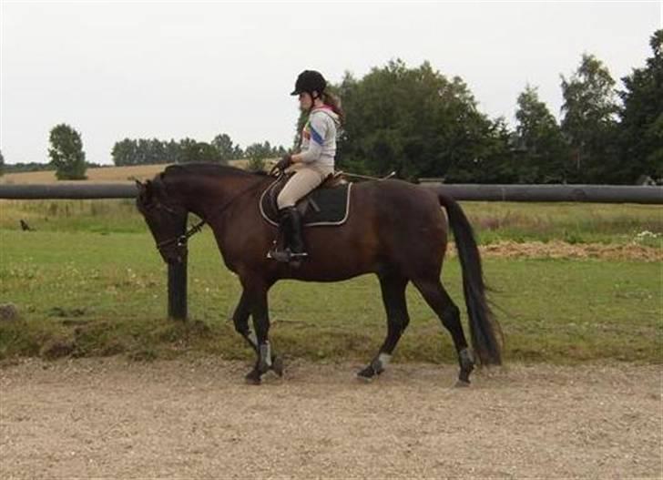 Traver Imaraq (Immer) - Hej og velkommen til Imaraqs profil :) Håber i ligger en bedømmelse og en kommentar.. billede 1