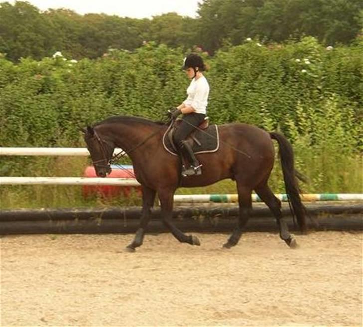 Traver Imaraq (Immer) billede 2