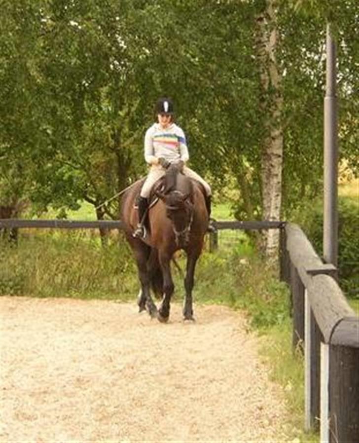 Traver Imaraq (Immer) billede 3