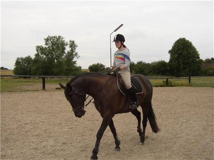 Traver Imaraq (Immer) billede 4