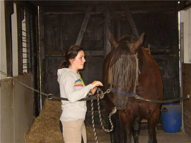 Traver Imaraq (Immer) billede 6