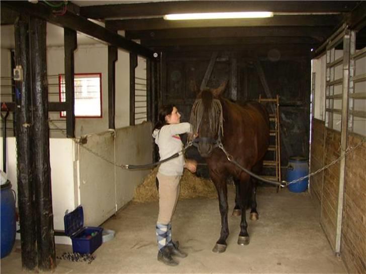 Traver Imaraq (Immer) billede 7