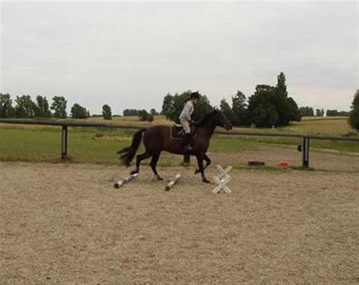 Traver Imaraq (Immer) billede 8