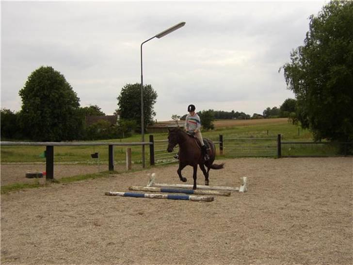 Traver Imaraq (Immer) billede 9