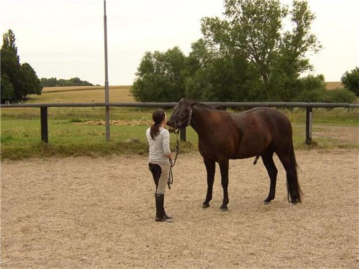 Traver Imaraq (Immer) billede 10