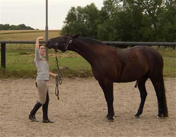 Traver Imaraq (Immer) billede 11