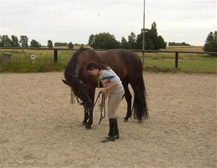 Traver Imaraq (Immer) billede 13