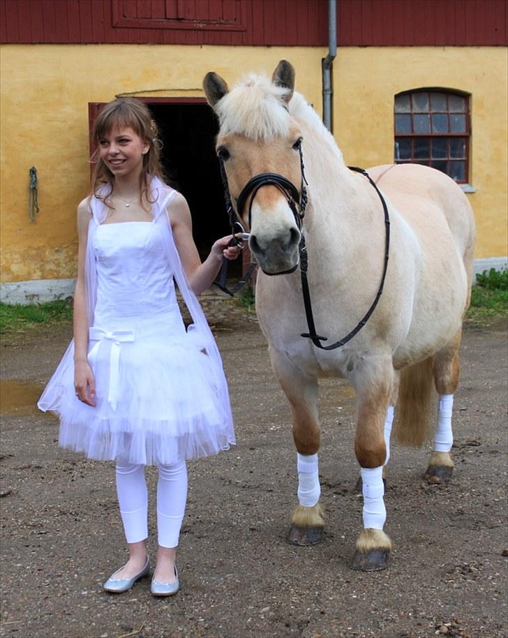 Fjordhest Prins - I miss u :'( - Min konfirmation & prinne d;  billede 14