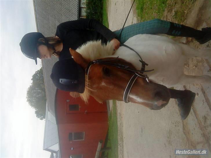 Anden særlig race KLAUS - SOLGT :'(<3 - Vores venskab, er virkelig stærkt! & jeg fatter éhk at det er slut nu! JEG ELSKER DiG! billede 18