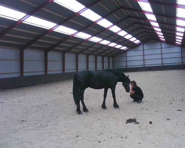 Frieser Thomas Gammelgaard - Thomas og jeg i ridehal idag den 2 aug rigtig hyggeligt katrine har taget billed billede 11