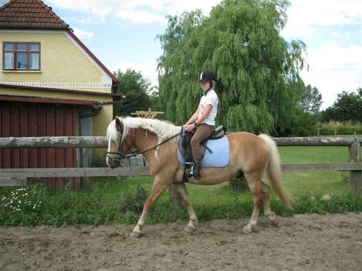 Haflinger Starlight *RIP* - Mig og den super skønne Starlight igen(-; billede 2