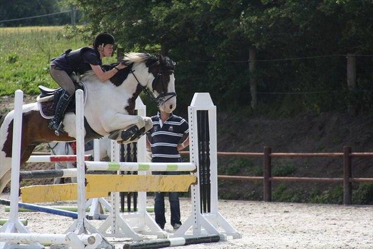 Anden særlig race SPEEDY <3<3 -  speedy og jeg på stall melby! :D billede 14