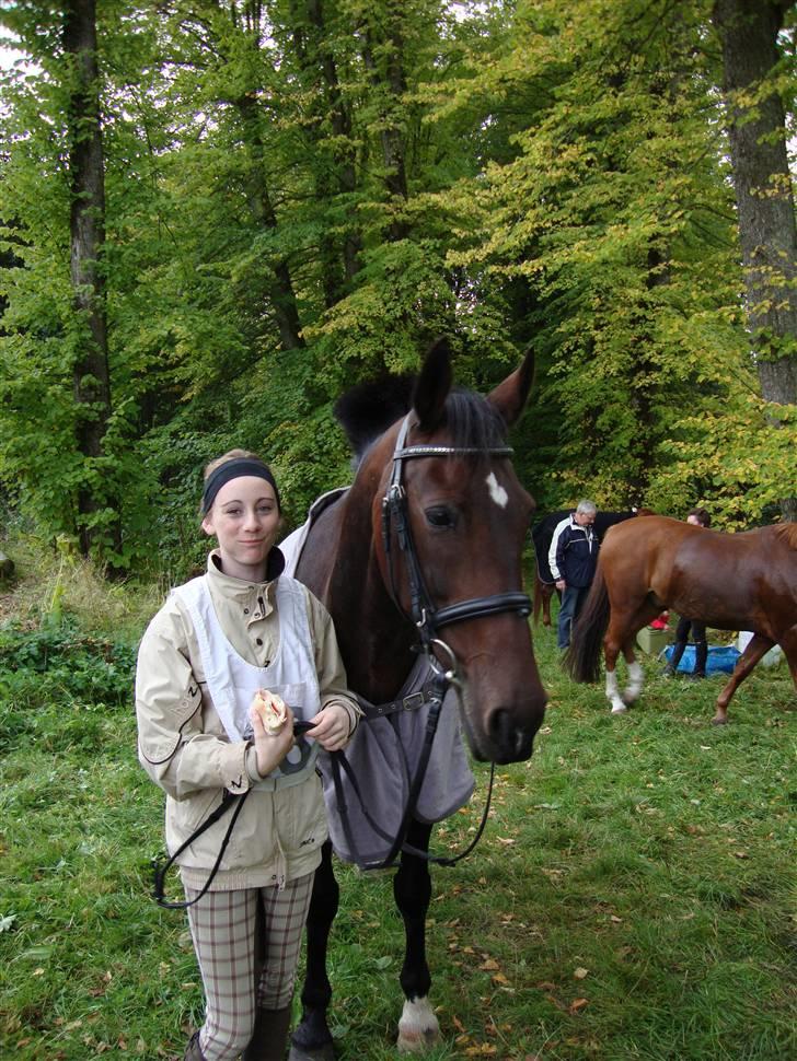 Hollandsk Varmblod Daisy - Til distance i DRLR med Sarah  (: rigtig hyggeligt billede 13