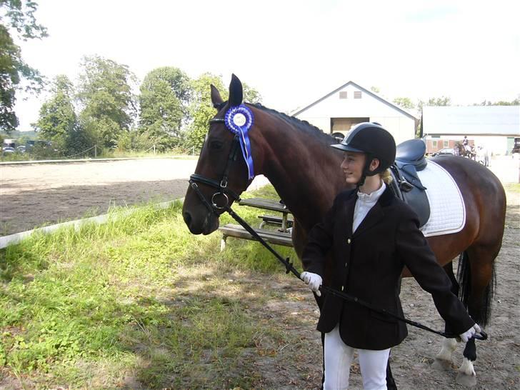 Hollandsk Varmblod Daisy - Delt 2. plads i LC3 :D billede 17