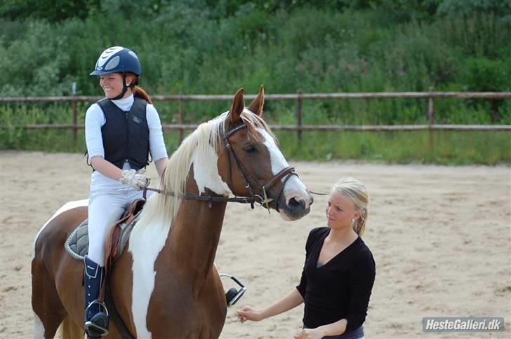 Pinto ZENIA  - 4. plads - første LD billede 4