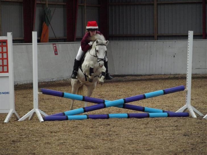 Welsh Pony (sec B) Dundee - (red) solgt! - *2*Du følger mig genem ild og vand skat. tak for alt. I belive i can flive;) MAN MÅ IKKE KOPIRE MINE BILLEDER!! billede 2