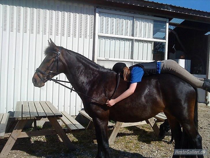 Anden særlig race Thyra - Vi slapper lige lidt af <3 Foto: Julie Bt billede 6