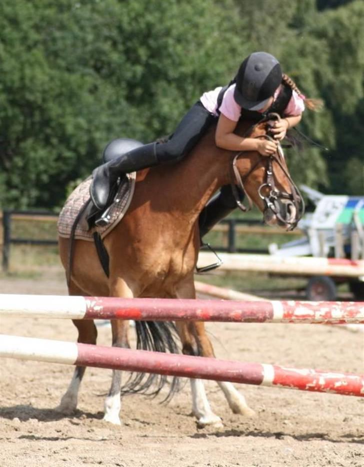 Anden særlig race Bastian - Part - R.I.P - Ridelejr 2008 (nej, jeg faldt ikke af) billede 16