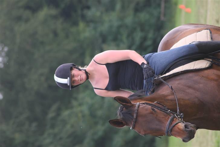 Dansk Varmblod Flying Z II - Flying syntes det var lidt spændende med alle de ting der var at se på billede 6