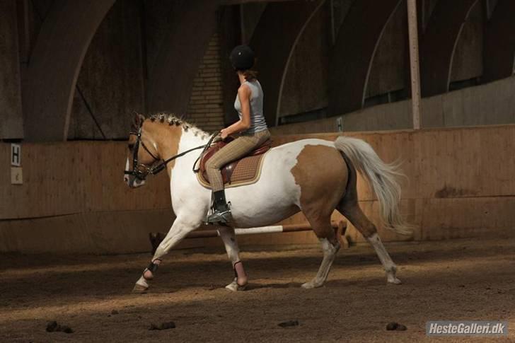 Anden særlig race *Tea's Baby Dolly* billede 6
