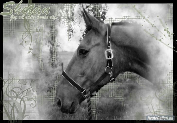 Traver Satan/Shetan - Tusind tak til o°*{ Quentin }*°o for den smukke redigering af dette billede! billede 20