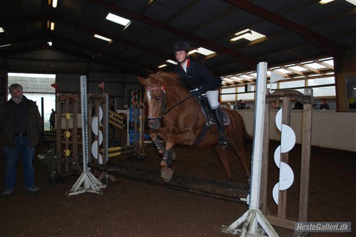 Tysk Sportspony Lex 35  - Fra vores andet stævne sammen<3 (BDR) billede 2