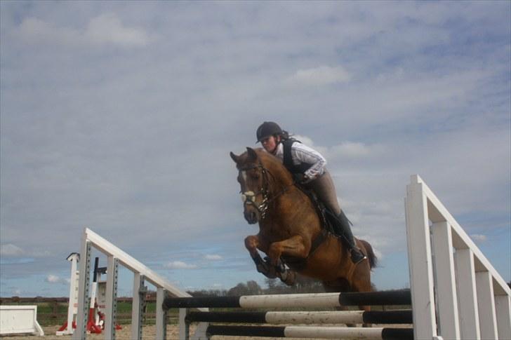Tysk Sportspony Lex 35  - Så kan man løfte fusserne;D Super spring og første gang over trippel med mig! (D.27/4-2010) Elsk på den pony<3 billede 12