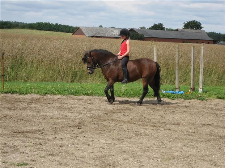 Dartmoor Guldklump<33   /Solgt/ - F*** JeG eLsKeR dIg!!! billede 8