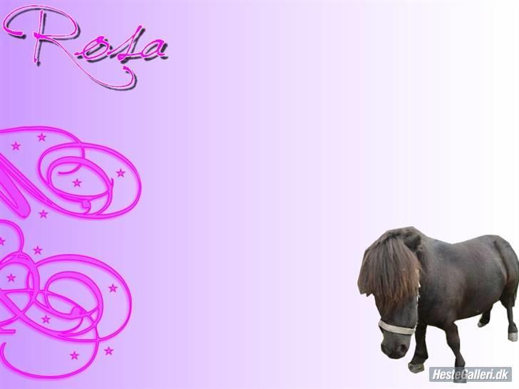 Miniature Lille Rosa* farmors pony* - et fint billed af rosa; lavet af.Liv & Snowy-Dreng<3 Modtager Fair Udfordringer :) P billede 15