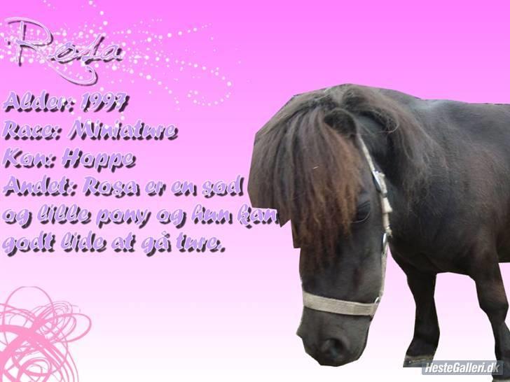 Miniature Lille Rosa* farmors pony* - Rosa´s navneskildt lavet af;Liv & Snowy-Dreng<3 Modtager Fair Udfordringer :) P billede 16