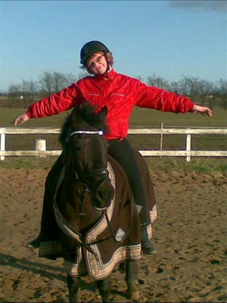 Anden særlig race Kila´s Sambo (SOLGT) - Sambo  billede 12